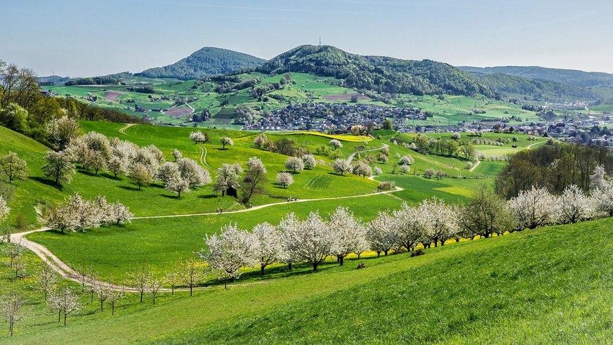 Das Fricktal während der Kirschblüte. Im Hintergrund das Dorf Frick mit dem Frickberg.
https://commons.wikimedia.org/wiki/File:Fricktaler_Kirschenweg-4.jpg