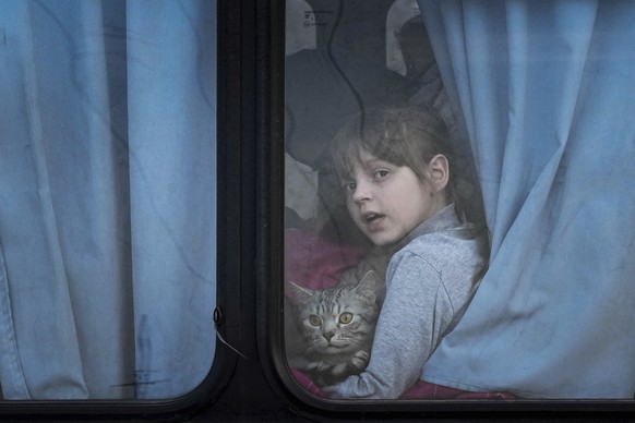 An Internally displaced child holding a pet cat looks out from a bus at a refugee center in Zaporizhia, Ukraine, Friday, March 25, 2022. (AP Photo/Evgeniy Maloletka)