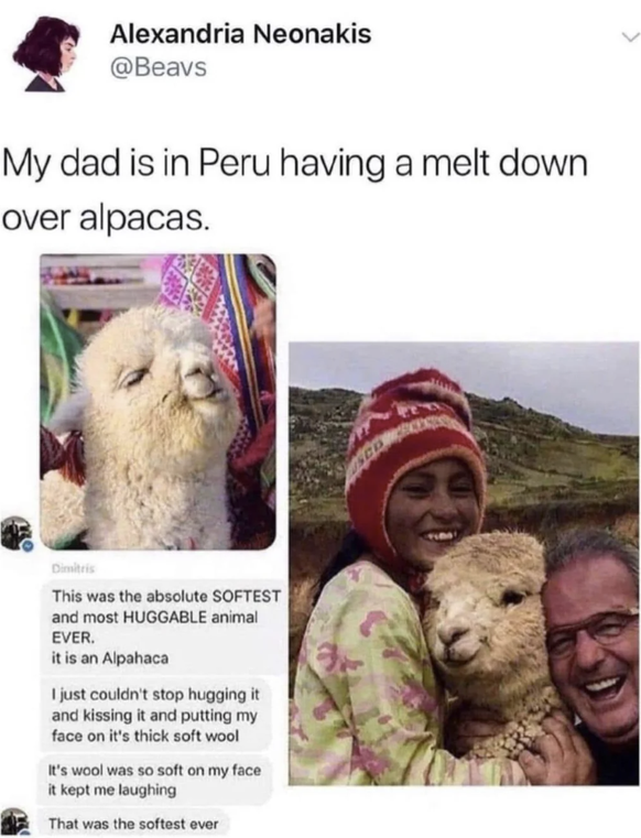 Feel good Dump