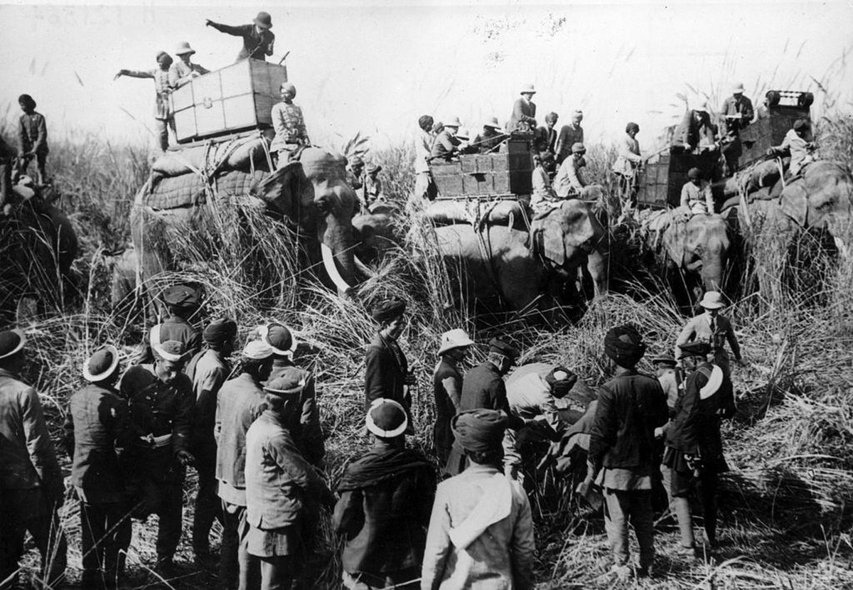 circa 1911: King George V of Great Britain (1865 - 1936) riding on an elephant at a tiger hunt. From an album entitled 'The King - Emperor's Indian Durbar Tour 1911 - 12). (Photo by Hulton A ...