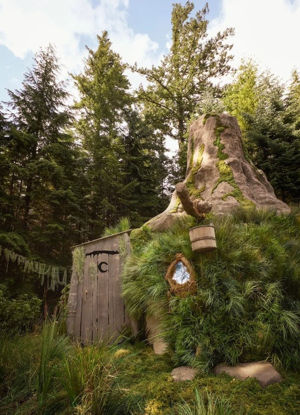 Airbnb Shrek