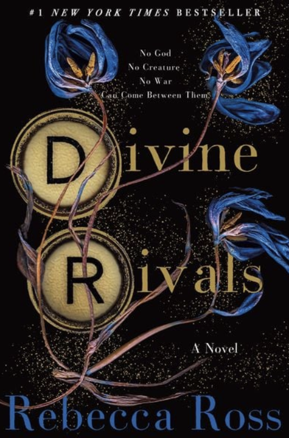 Divine Rivals von Rebecca Ross.