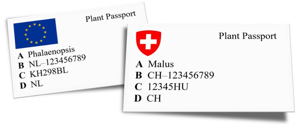 Pflanzenpass, Plant Passport, https://www.blw.admin.ch/blw/de/home/nachhaltige-produktion/Pflanzengesundheit/handelmitpflanzenmaterial/schweizundeu/pflanzenpass.html#:~:text=Der%20Pflanzenpass%20darf% ...