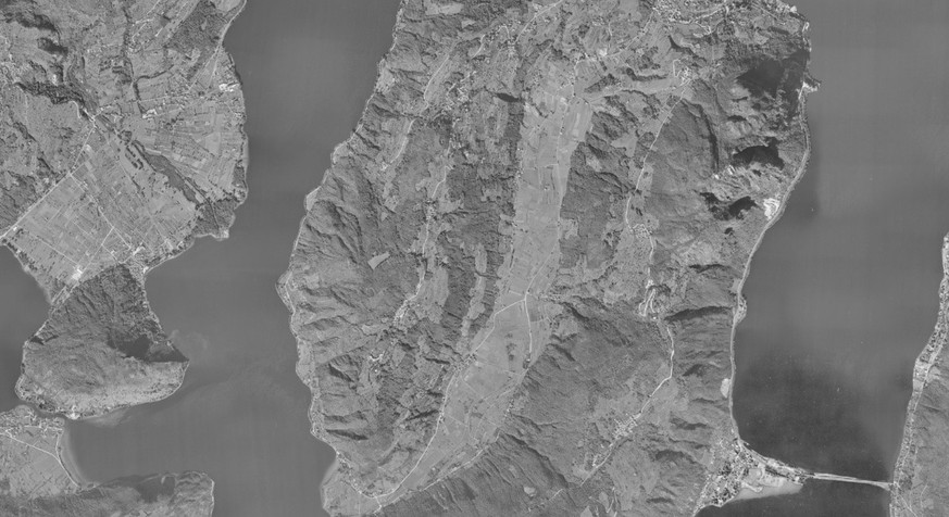 image for