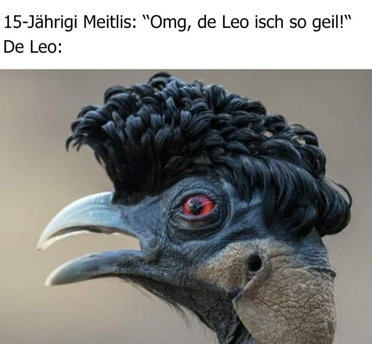 Zeit, so zu tun, als wГјrdest du arbeiten: PICDUMP!\nOffene Coiffeursalons hin oder her... рџ¤¦рџЏ»вЂЌв™‚пёЏ