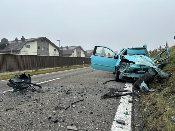 Ausserhalb von Waltenschwil stiessen am 18. Dezember 2023 ein Auto und ein Lastwagen frontal zusammen. Für den Automobilisten kam jede Hilfe zu spät.