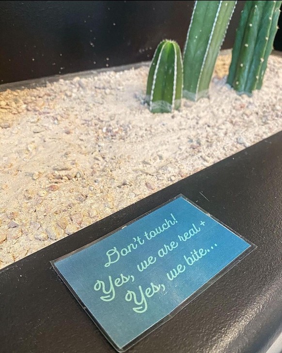 Funny Signs: Cacti are real and they bite.