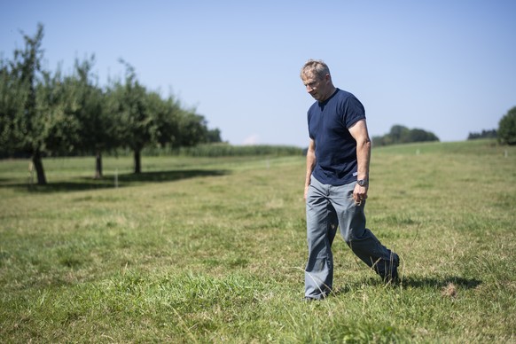 Bauer Markus Hausammann, Praesident Verband Thurgauer Landwirtschaft, laeuft ueber seine ausgetrocknete Wiese, aufgenommen am Mittwoch, 25. Juli 2018 in Langrickenbach (KEYSTONE/Ennio Leanza)