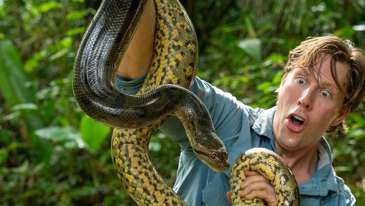 Der niederländische Biologe Freek Vonk mit einer Anakonda, Februar 2024
