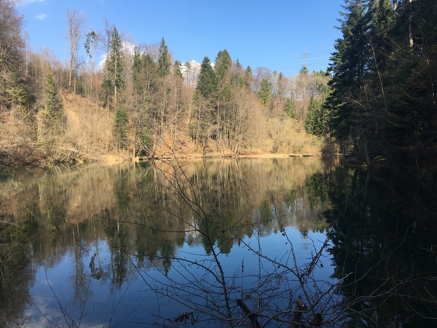 Tobelweiher Pfäffikon