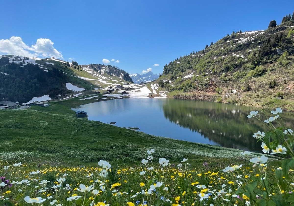 Lac de Bretaye Rauszeit Bergseen Schweiz einfach erreichbar