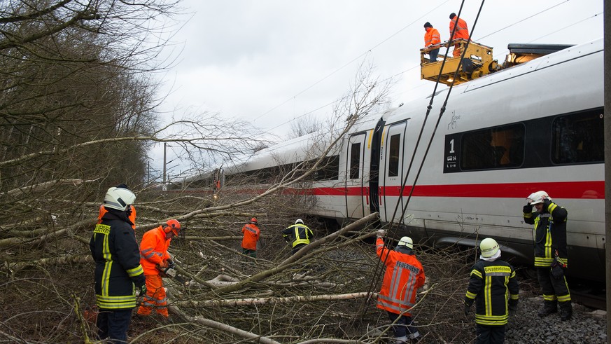 Baeume und Aeste liegen am 18.01.2018 bei Lamspringe (Niedersachsen) auf der ICE-Trasse zwischen Hannover - Goettingen. Sturmtief &quot;Friederike&quot; zieht ueber weite Teile Deutschlands. (KEYSTONE ...