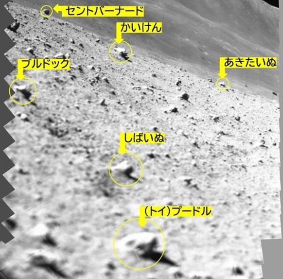 Die japanische Weltraumbehörde Jaxa hat erste Bilder von der historischen Landung ihrer Weltraumsonde Slim auf dem Mond veröffentlicht.