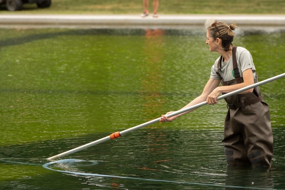 A National Park Service employee uses a vacuum to clean the Lincoln Memorial Reflecting Pool, Friday, June 19, 2026, in Washington. (AP Photo/Mark Schiefelbein)
Lincoln Memorial Reflecting Pool