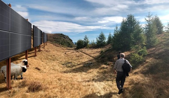 Die geplante Gesetzesänderung für den raschen Bau einer grossenSolar-Freiflächenanlage im Wallis erzürnt die Umweltverbände.