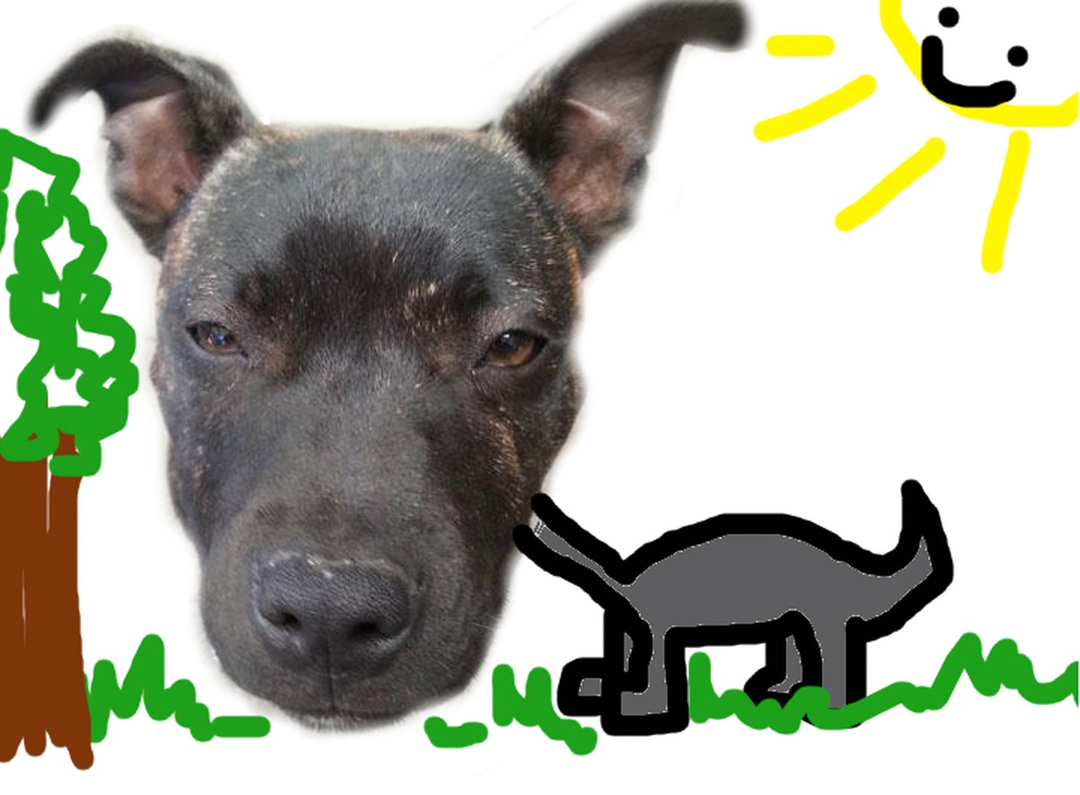Nein, es ist kein Dino!