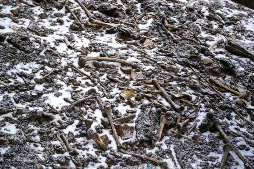Skelettreste am Roopkund-See in Indien.