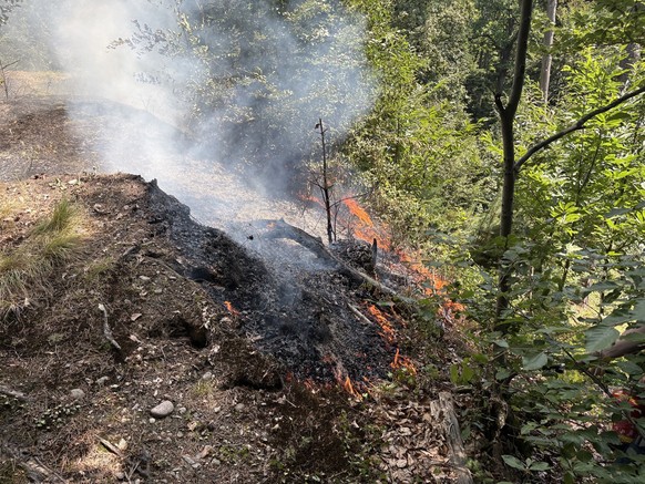 Waldbrand Horw LU 26.6.26