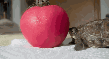 Animiertes GIF
