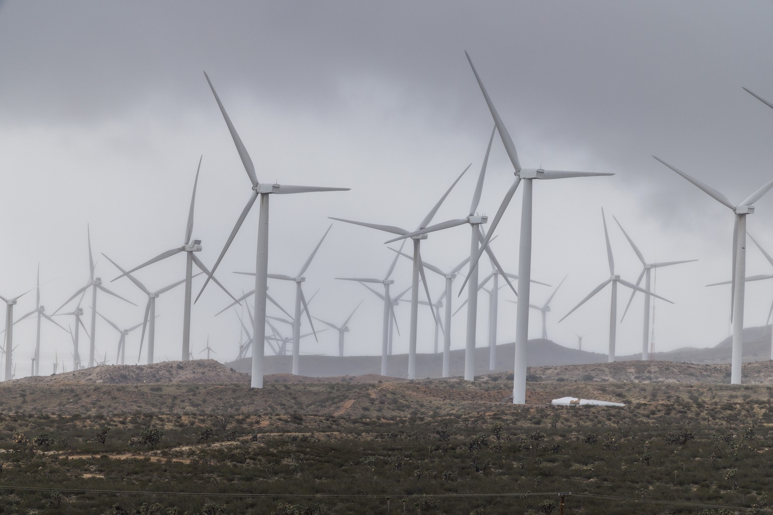 epa12530437 Wind turbines are seen at the Mojave Wind Farm in Mojave, California, USA, 16 November 2025. The Mojave Wind Farm in Kern County, California, is one of the largest and most productive wind ...