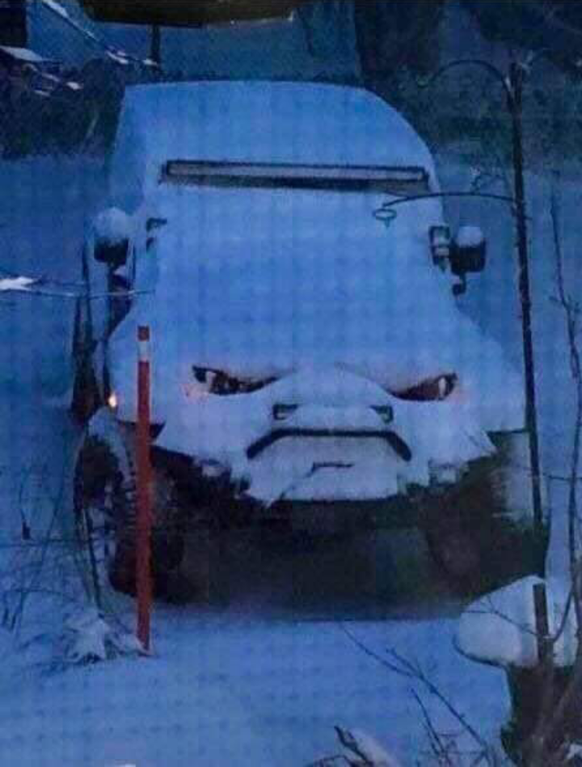 car with face muff
