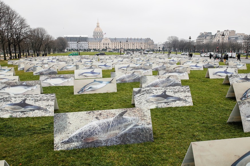 epa10483295 Some of the 400 posters depicting dolphin corpses found on the French Atlantic coast, lay on the esplanade des Invalides during an action organized by Ligue pour la Protection des Oiseaux  ...