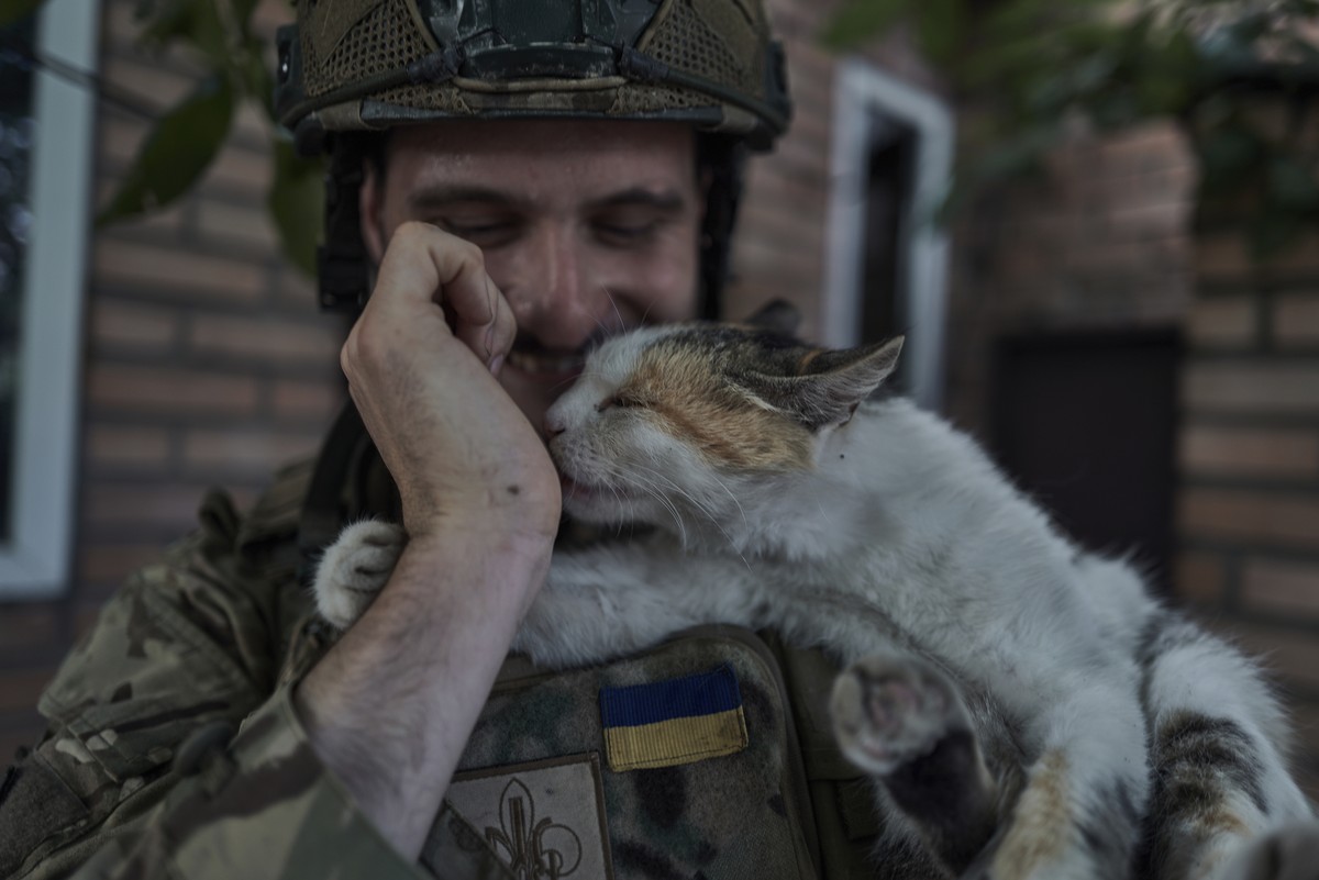 A Ukrainian policeman of special police unit pets a cat at the front line, near Kreminna, Luhansk region, Ukraine, Friday, July 7, 2023. (AP Photo/Libkos)