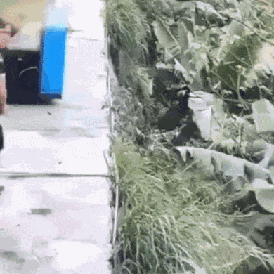 Animiertes GIF