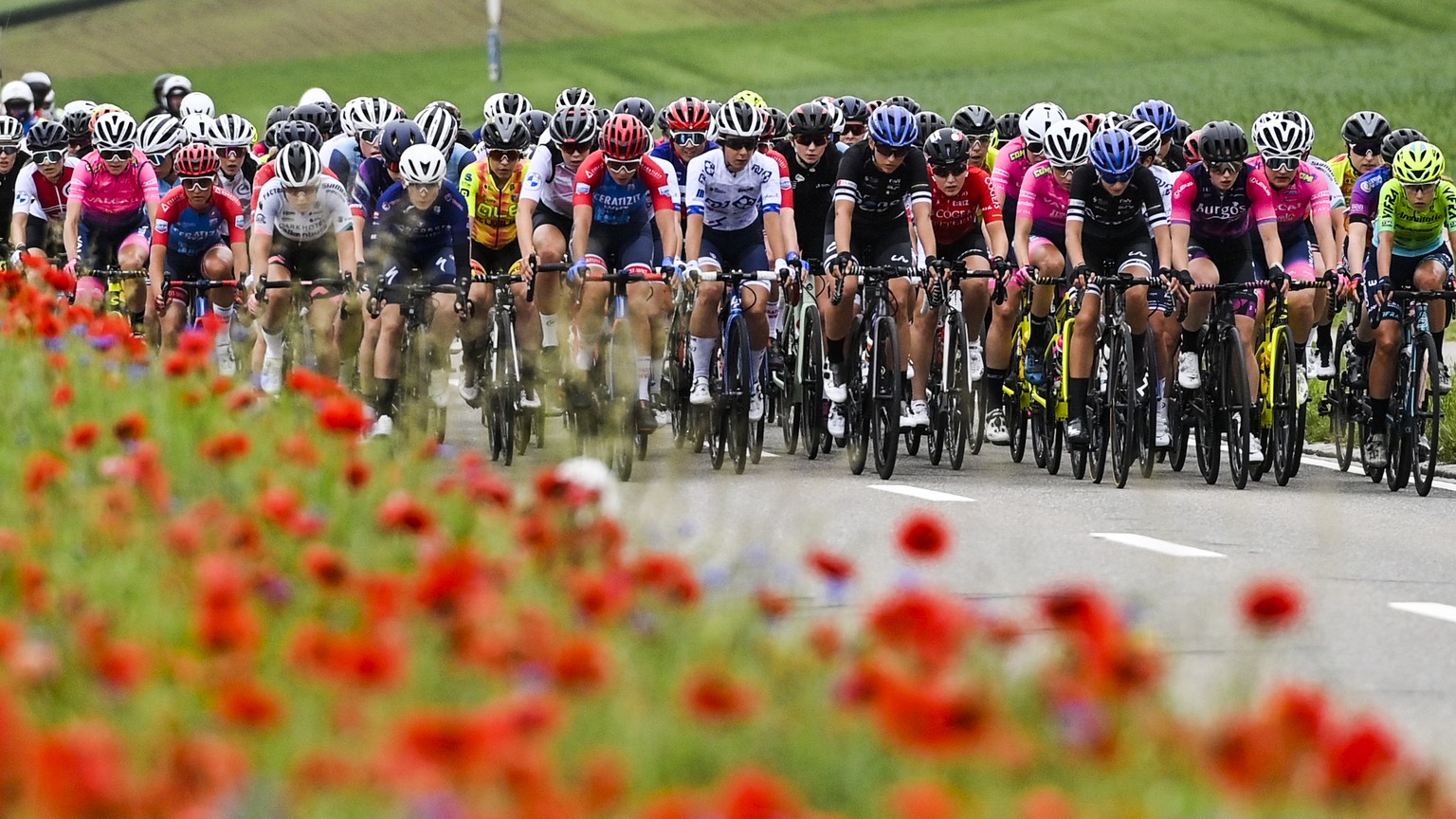 The peloton during the first stage, a 114 km race with start and finish in Frauenfeld, Switzerland, at the 1st Tour de Suisse UCI ProTour cycling women
