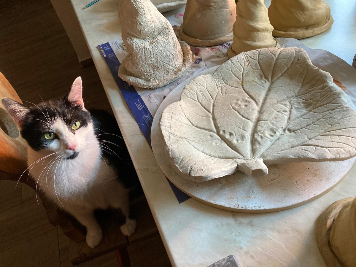 cute news tier katze

https://www.reddit.com/r/AnimalsBeingJerks/comments/1e46isd/so_i_made_this_bird_bath_and_this_little_derp/