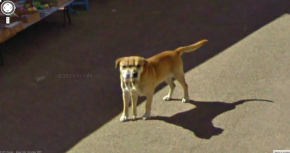 Google Street View