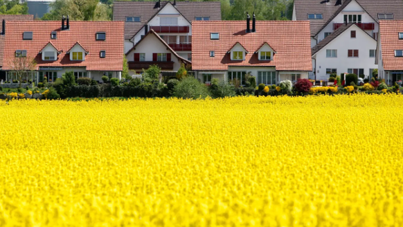 Eigenheimbesitzer könnten bald keinen Eigenmietwert mehr bezahlen müssen - dafür wären aber weniger Abzüge möglich.