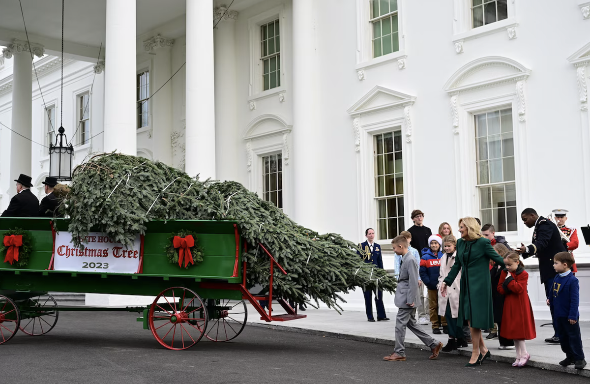 Chaque année, l'arrivée du sapin de Noël dans la «Blue Room» est un concentré d'Histoire et un passage obligé dans l'agenda de la première dame. Cette année, le choix s'est porté sur un sapin Fraser,  ...