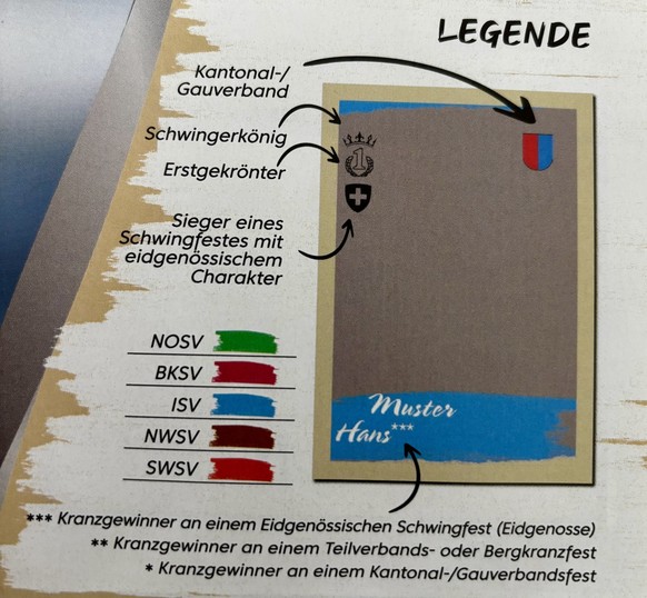 7 Punkte, die beim Schwinger-Panini-Album auffallen