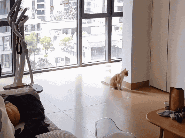 Animiertes GIF