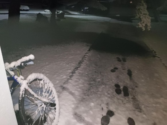 Achtung Glätte! Im Flachland fällt der erste Schnee – der Beweis in 10 Bildern\nUnd mich direkt auch schon mit dem Velo hingelegt, am Hauptbahnhof Bern, vor allem Leuten 😂😂

(Merci all denen, die fr ...