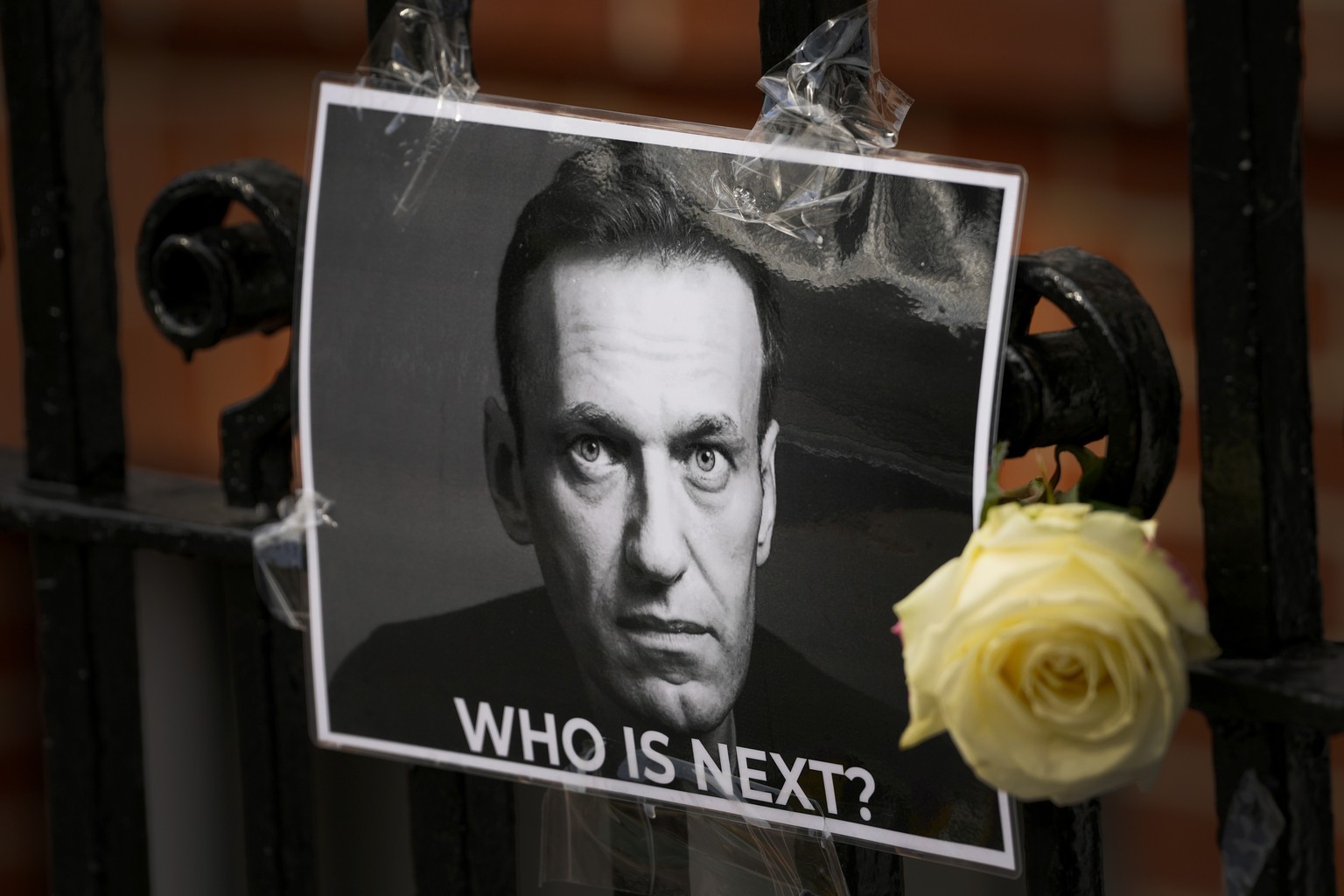 A flower and a photo are left in tribute to Russian politician Alexi Navalny, near the Russian Embassy in London, Sunday, February 18, 2024. Navalny, who crusaded against Russian corruption and sta...