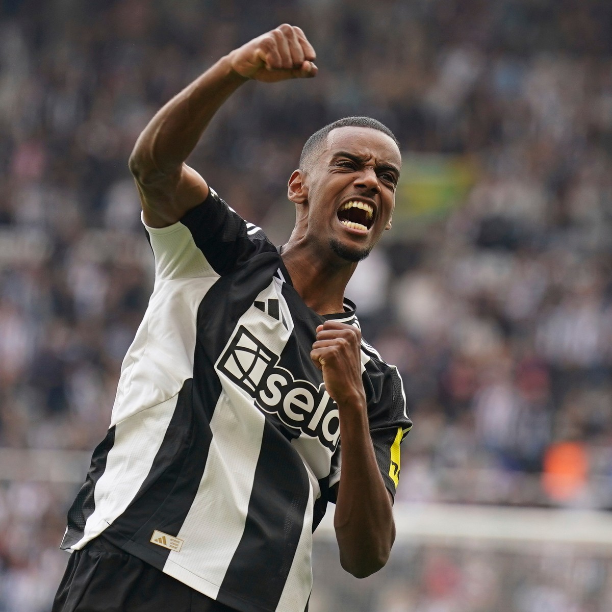 Newcastle United's Alexander Isak celebrates scoring during the English Premier League soccer match between Newcastle United and Ipswich Town at St James' Park, Newcastle, England, Saturday  ...