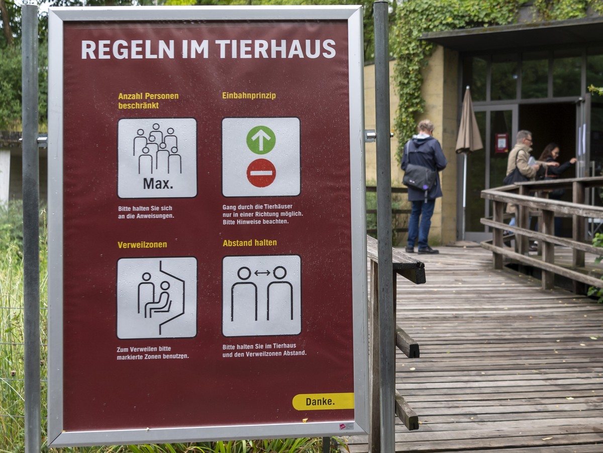 Im Rahmen des Schutzkonzeptes gegen das Coronavirus wurde ein Personenleitsystem ausgearbeitet im Zoo Basel, am Donnerstag, 4. Juni 2020. (KEYSTONE/Georgios Kefalas)