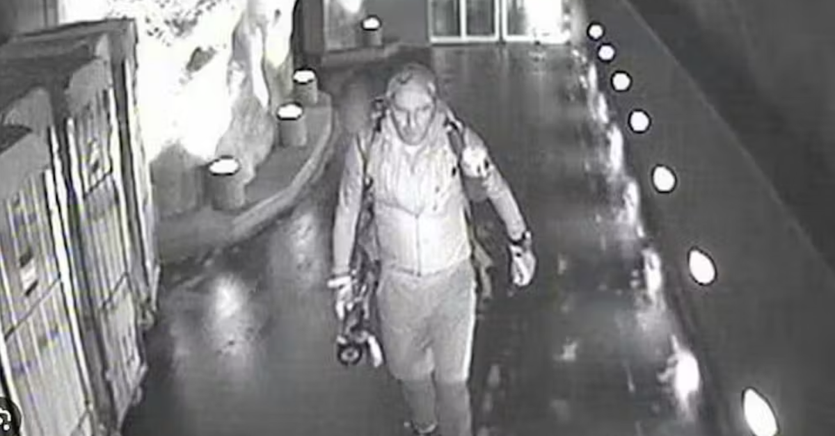 Epstein-Files-r-cken-Schweizer-Vermisstenfall-um-Milliard-r-erneut-ins-Blickfeld