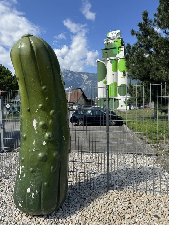 gürklikönig