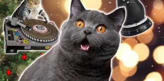 Für perfekte Weihnachten: 14 Geschenkideen für dich und deine Katze