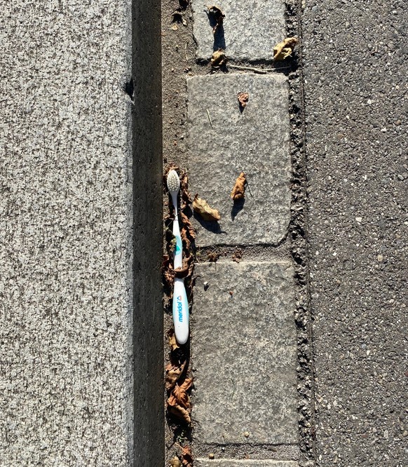 littering schweiz