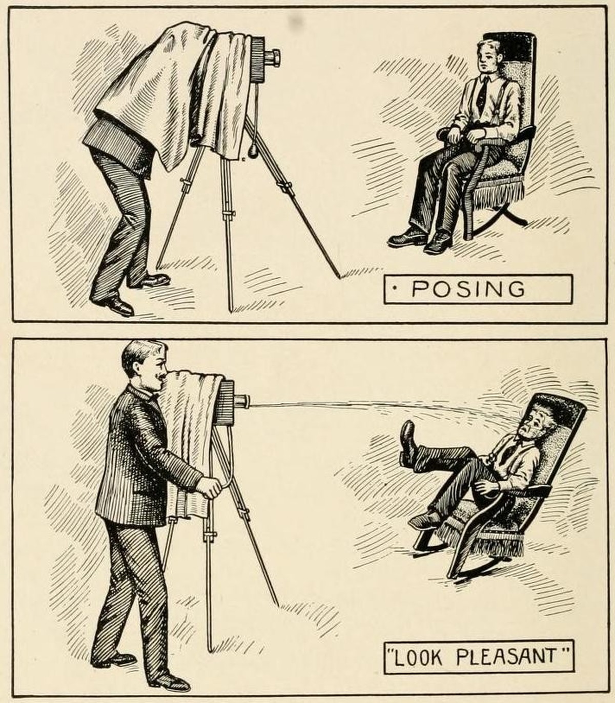 Surprise Chair
