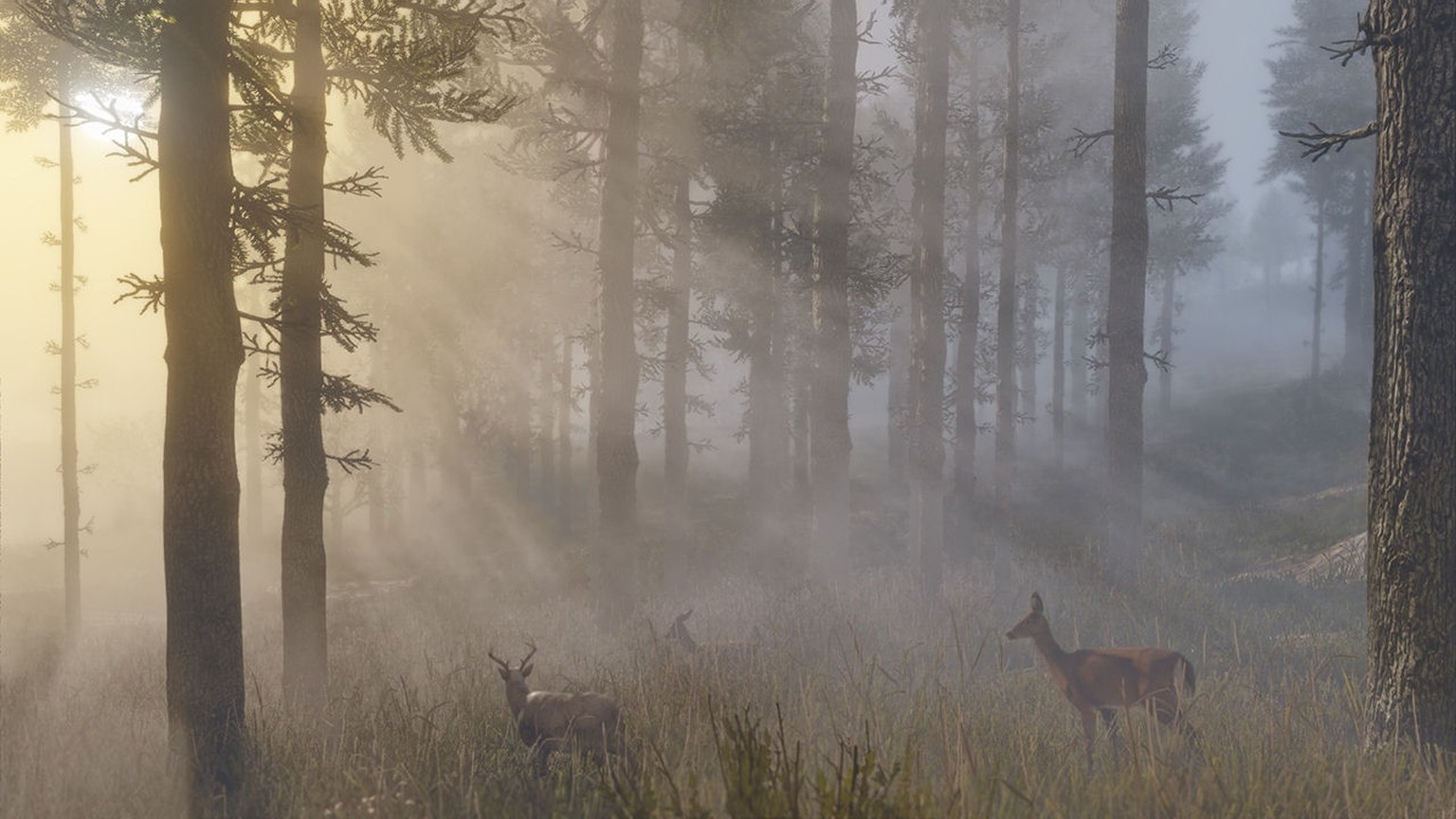 Sieht verdammt gut aus und spielt sich ganz okay: RDR2.
