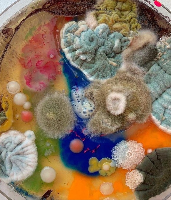 Mold