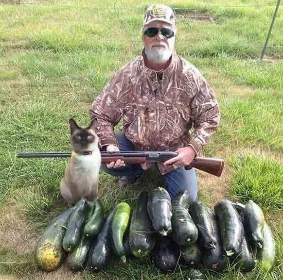 Vielleicht lag es die vorderen Jahre auch an seinem «Jagdhund».