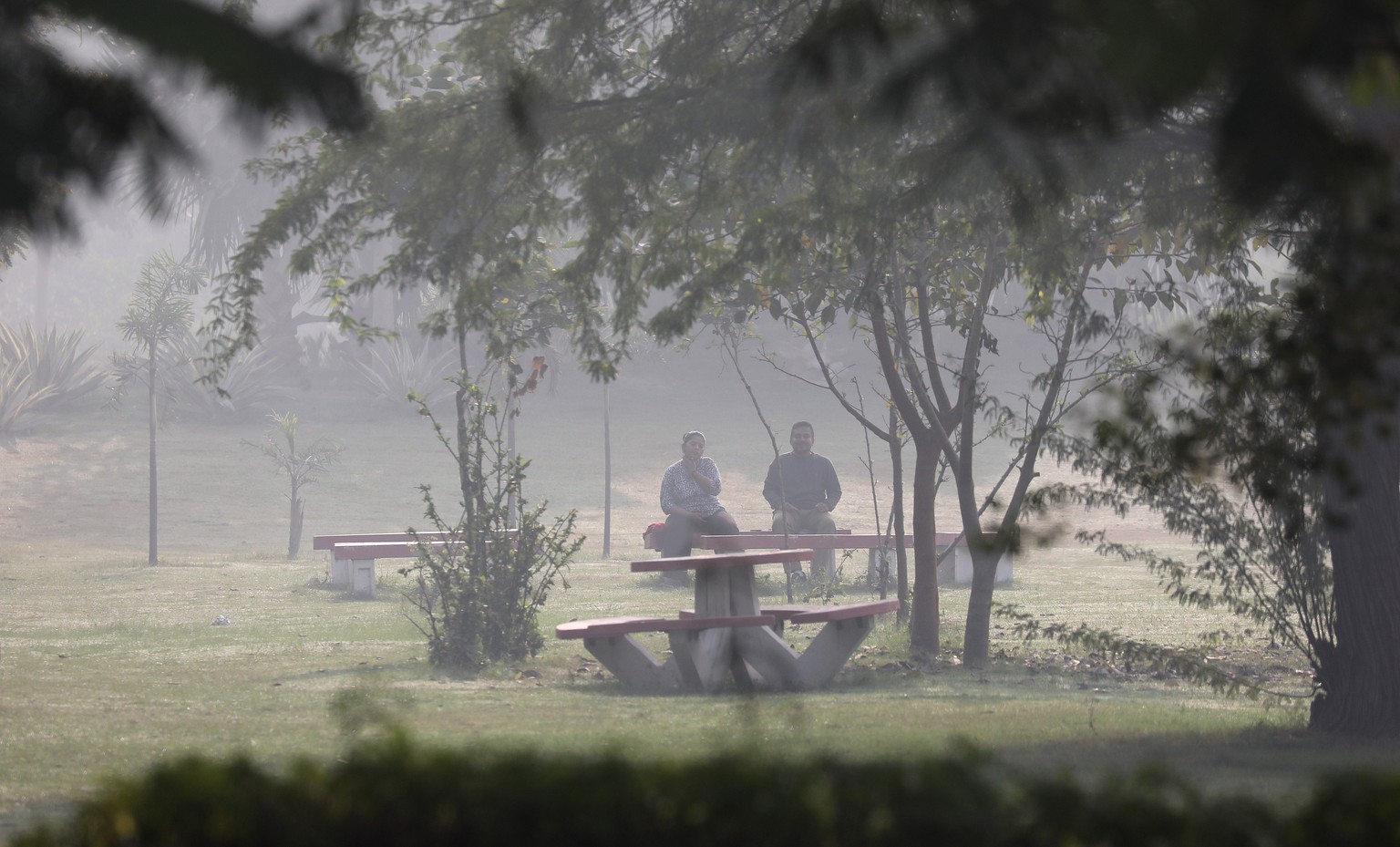 epa11730435 People rest in a park amid heavy smog near New Delhi, India, 20 November 2024. According to the Central Pollution Control Board, the National Capital Region&#039;s Air Quality Index (AQI)  ...