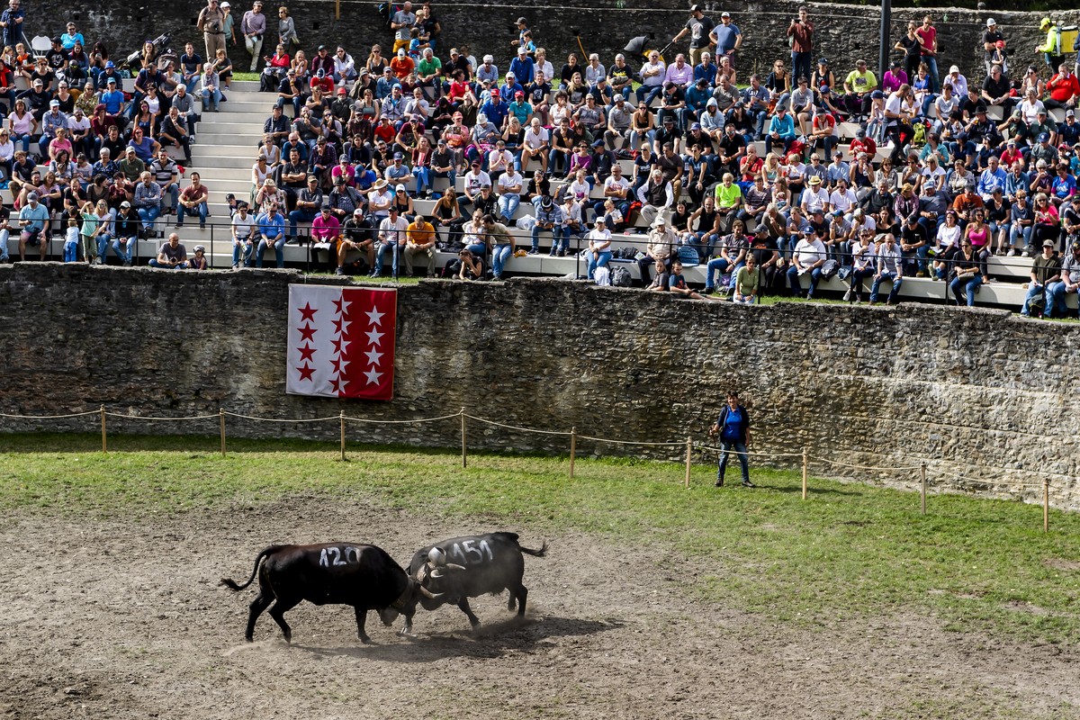 Des personnes regardent le combat de reines de la Foire du Valais dans l'amphitheatre d'Octodure lors de la Foire du Valais le dimanche 3 octobre 2021 a Martigny. Entre le 1er et le 10 octob ...