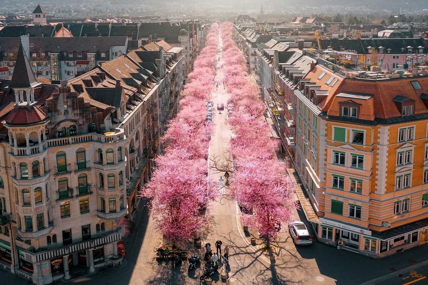 Bertastrasse Zürich, Kirschblüte 2021